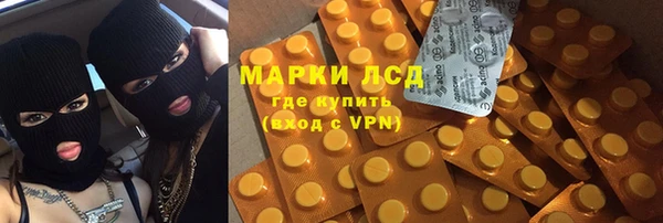 PSILOCYBIN Богданович