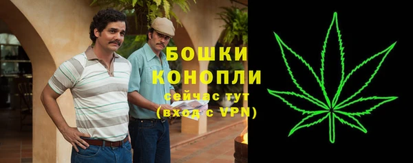 PSILOCYBIN Богданович