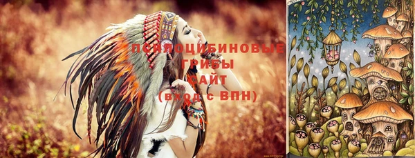 PSILOCYBIN Богданович