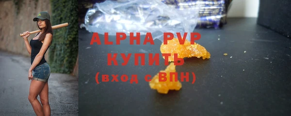 PSILOCYBIN Богданович