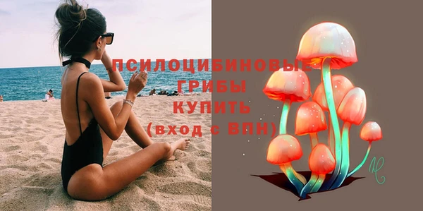 не бодяженный Богородицк