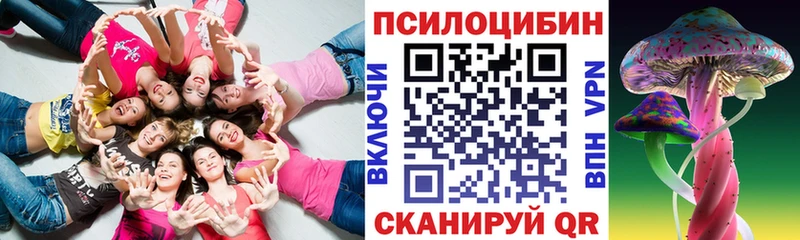 Галлюциногенные грибы Psilocybine cubensis  Купить  Мышкин 